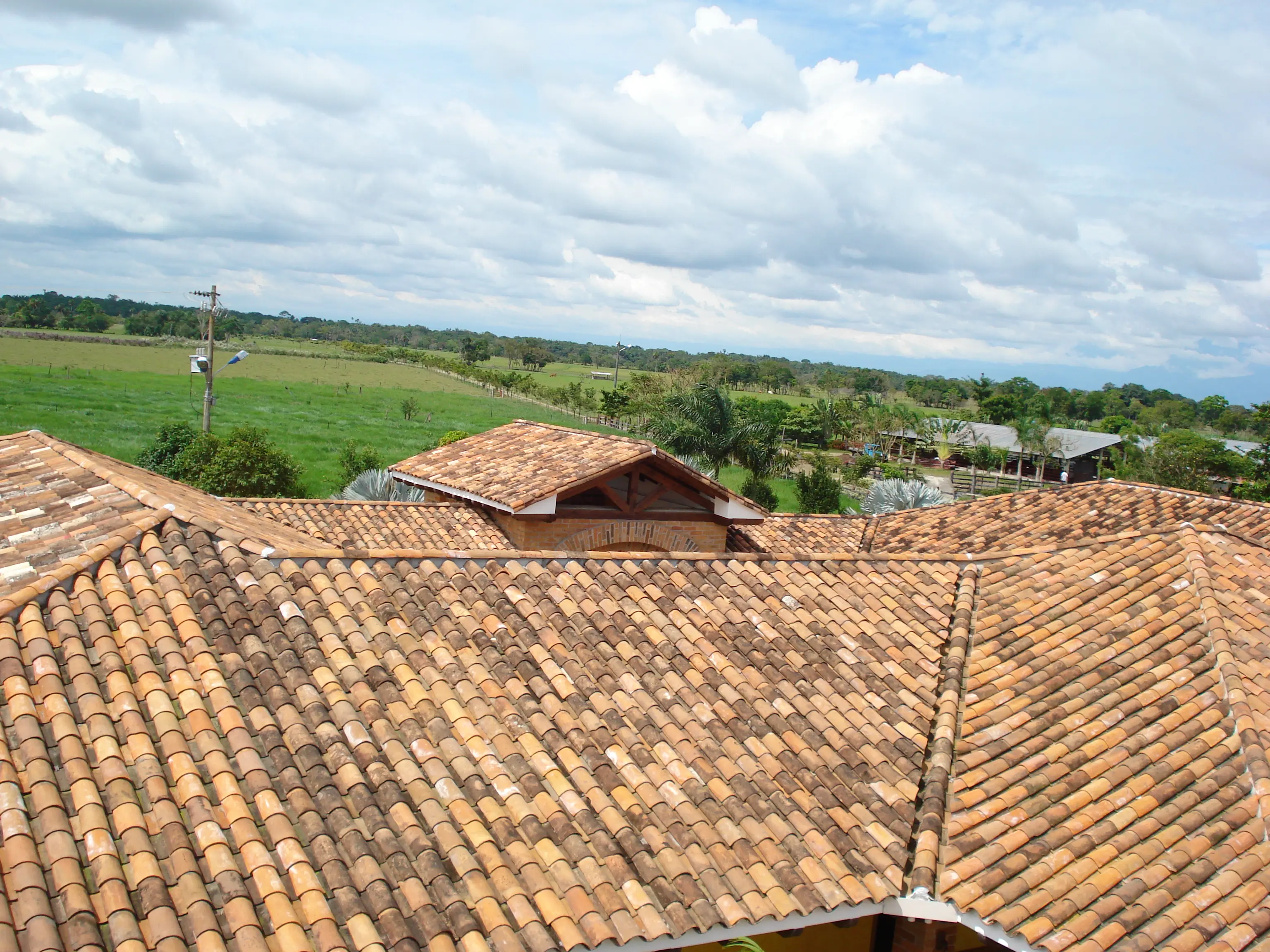 Proyecto Inmobiliario Detalles Arquitectónicos